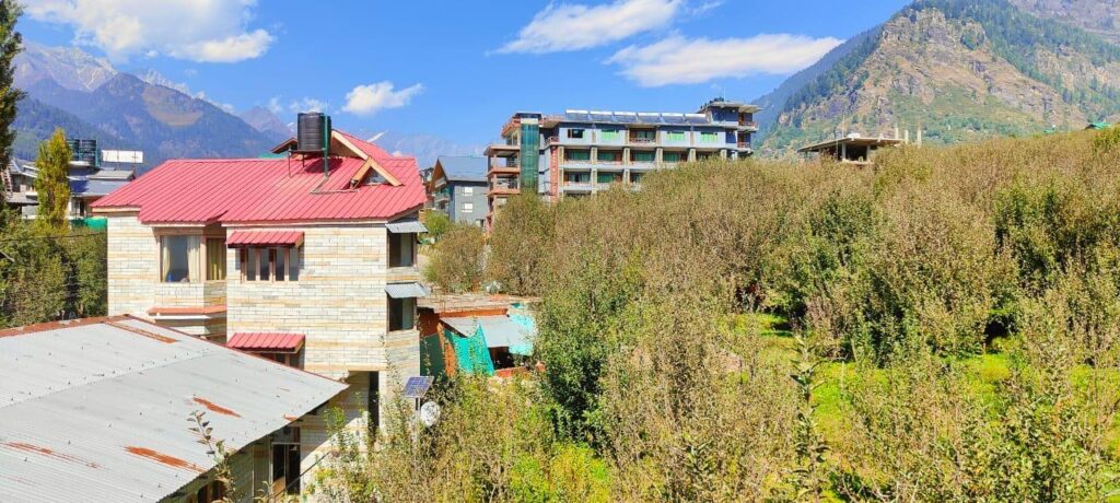 WhatsApp Image 2025-09-28 at 12.17.56 PM (4)